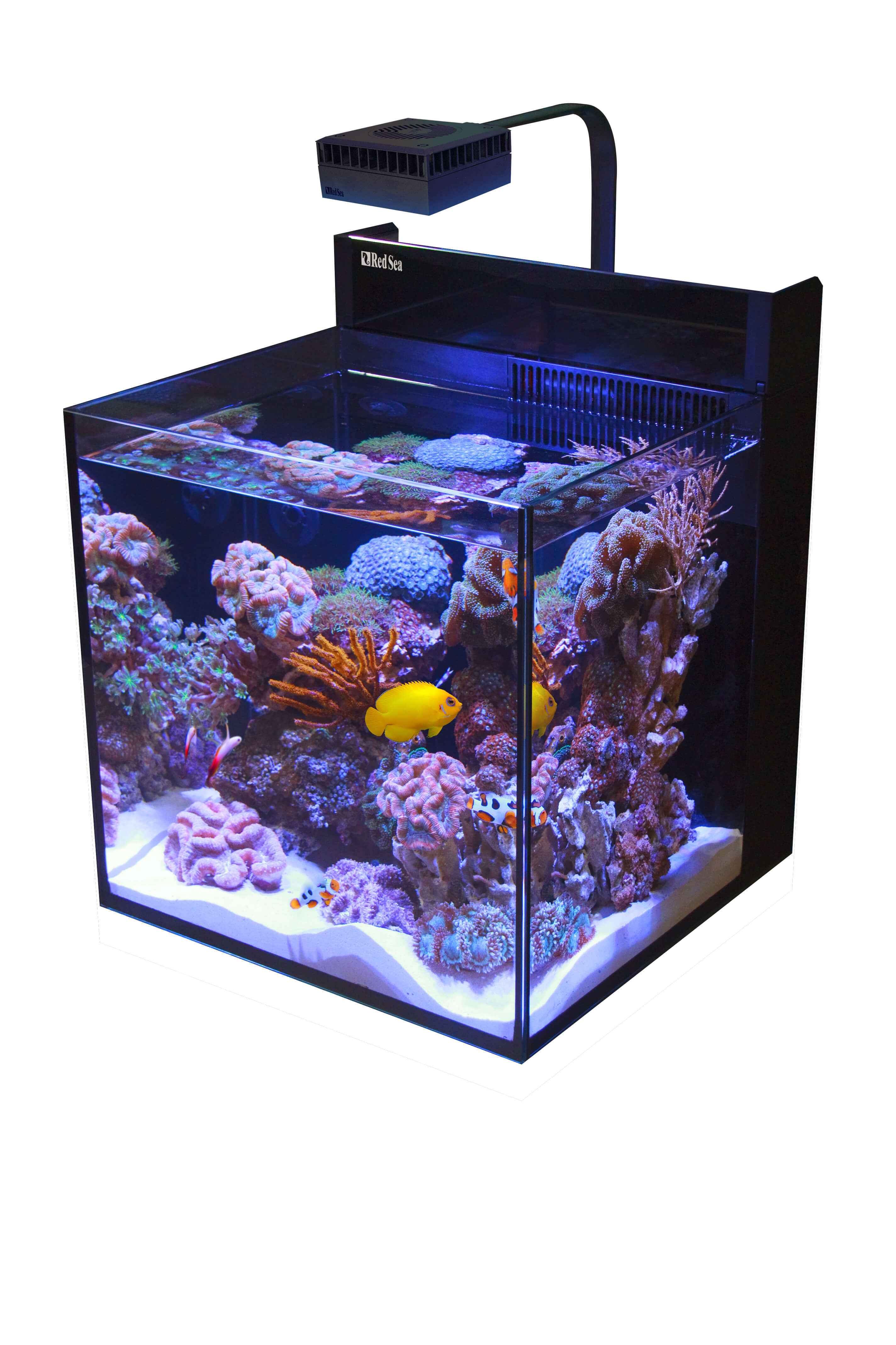 Ce boîtier transforme votre PC en aquarium 