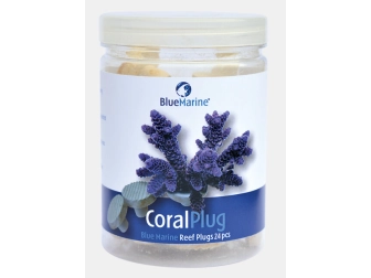 CORAL PLUG 24 PCS  BLUE MARINE