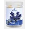 CORAL PLUG 24 PCS  BLUE MARINE