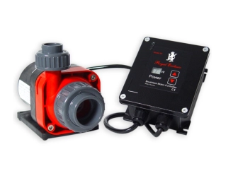 Red Dragon® 3 Mini Speedy 60 Watt - 5,5m³ - 10V connection 230 V - 50 Hz