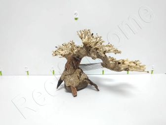 AQUAVIE BONSAI NATUR PM