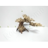 AQUAVIE BONSAI NATUR PM