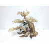 AQUAVIE BONSAI NATUR XL+