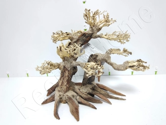 AQUAVIE BONSAI NATUR L-XL