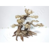 AQUAVIE BONSAI NATUR L-XL