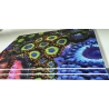 Fruit loop zoa garden Panneaux photo Largeur (cm) 50.67  Hauteur (cm) 33.67 Support Forex® (PVC) Eurolight 5 mm