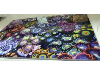 Space chaos Zoas garden Panneaux 50.67x33.67 JG5 Plexiglas deBeers 