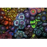 Vampire in drag Zoas garden Panneaux photo Largeur (cm) 50.67  Hauteur (cm) 33.67 Aluminium blanc 3 mm