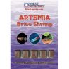 Artemia ocean nutrition  100g