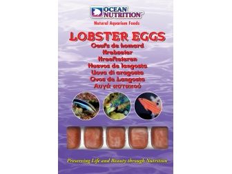 OC - OEUFS DE HOMARD 100GRS Ocean nutrition