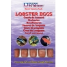 OC - OEUFS DE HOMARD 100GRS Ocean nutrition