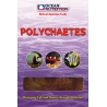 OC - POLYCHAETES (VERS DE MER) 100GR Ocean nutrition