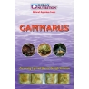 OC - GAMMARUS 100GRS Ocean nutrition