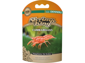 SHRIMP KING CAMBARELLUS Dennerle