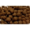 Anémone pellet granulés 100GR Ocean nutrition