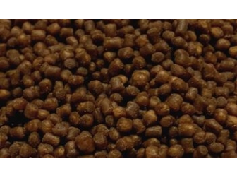 Coral Pellet Small 100GR Ocean nutrition