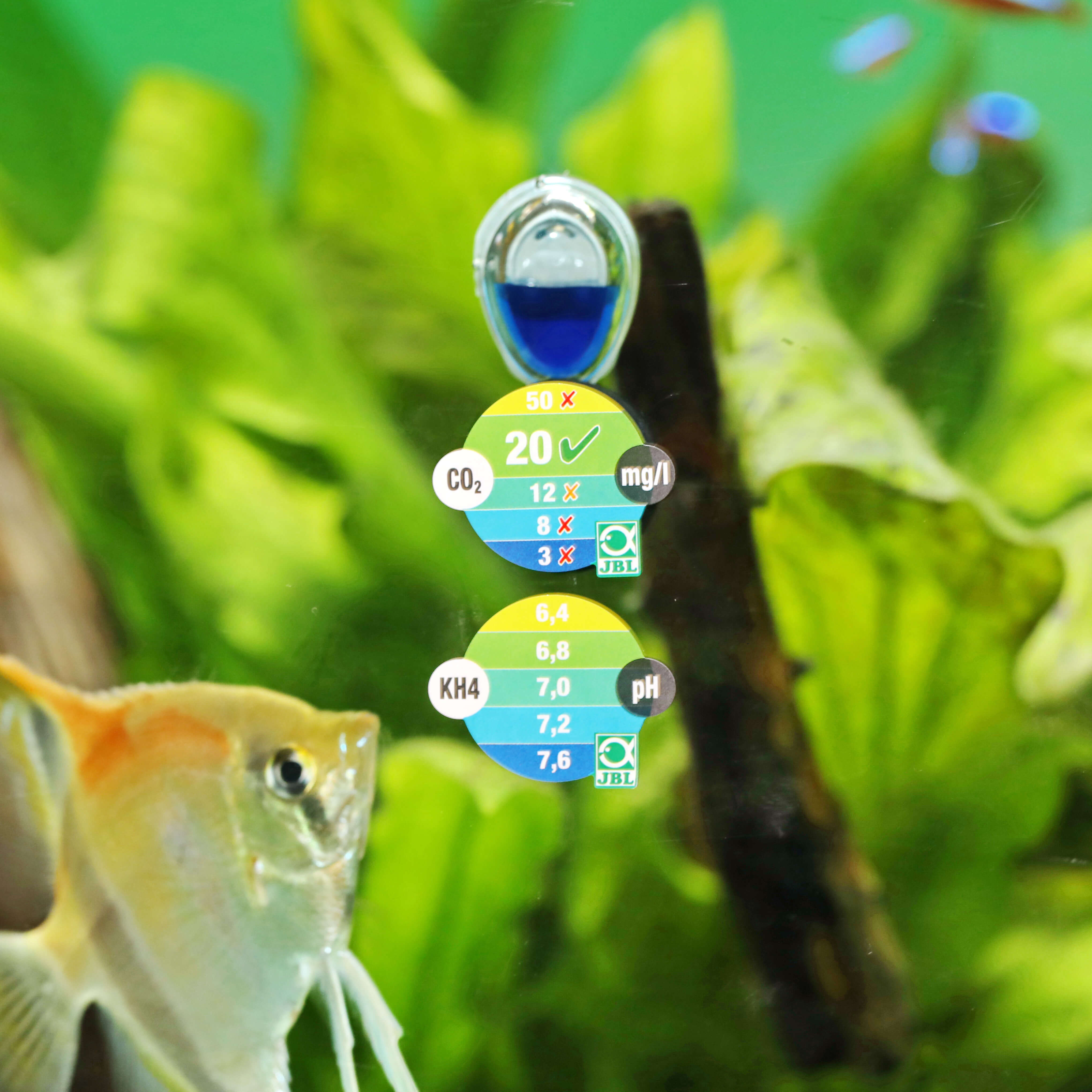 Faire son propre réactif pour test permanent de CO2 - le blog dédié à l' aquarium