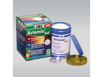 JBL ArtemioSal  