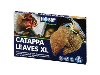 Catappa Leaves XL HOBBY