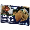 Catappa Leaves XL HOBBY