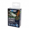 Alder Cones HOBBY