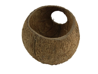 Cocos Cava 3/4 L JBL