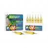 Bio Digest 6 Ampoules Bactéries