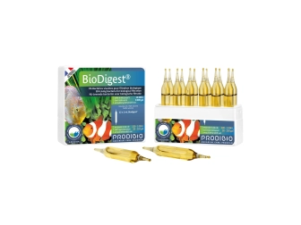 Bio Digest 12 Ampoules Bactéries