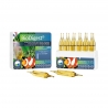 Bio Digest 12 Ampoules Bactéries