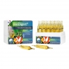 Bio Digest 30 Ampoules Bactéries