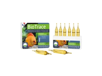 BIOTRACE 6 AMP*