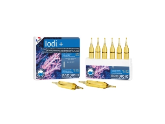 IODI 6 AMPOULES*