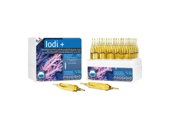 IODI 12 AMPOULES*