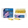 IODI 12 AMPOULES*