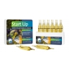 START UP 12 AMPOULES*