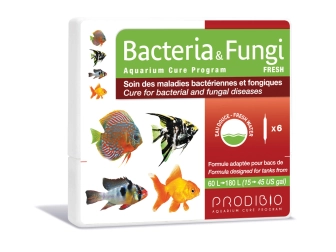 Bacteria & Fungi Fresh 6 AMPOULES