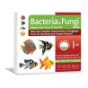 Bacteria & Fungi Fresh 6 AMPOULES