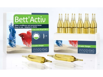 Bett'Actic 12Amp