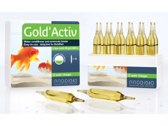 Gold'Activ 12 Amp