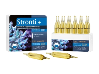 STRONTI 12 AMPOULES*