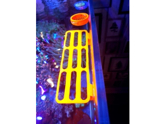 Slider Magnetic Single Color Frag Racks Aquaprint Jaune