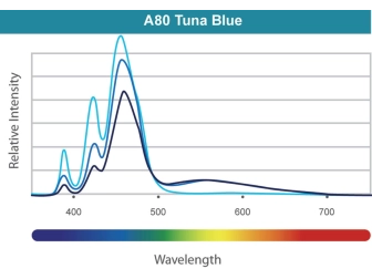 LED A80 Tuna Blue Kessil