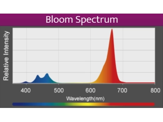 LED A360X Refugium Kessil