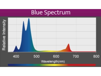 LED A360X Refugium Kessil