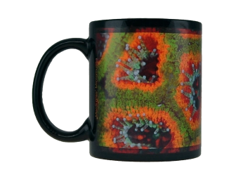 MUG "Mardi gras" Micromussa GROTECH