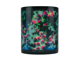 MUG "Strawberry shortcake" Acropora GROTECH