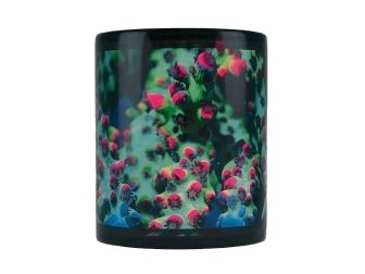 MUG "Strawberry shortcake" Acropora GROTECH