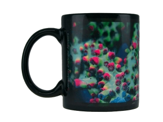 MUG "Strawberry shortcake" Acropora GROTECH