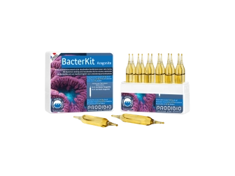 Bacter Kit Aragonite 12 vials  Prodibio