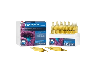 Bacter Kit Aragonite 30 vials  Prodibio